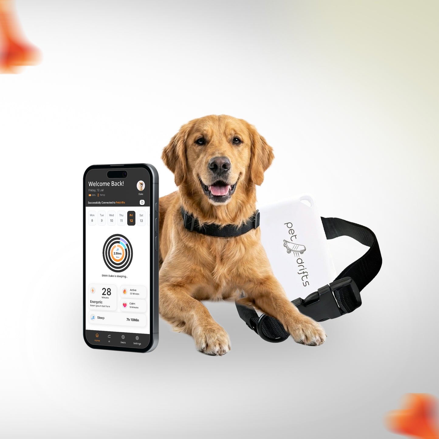 PetDrifts Lite - Smart Dog Collar With Activity and Sleep Tracking