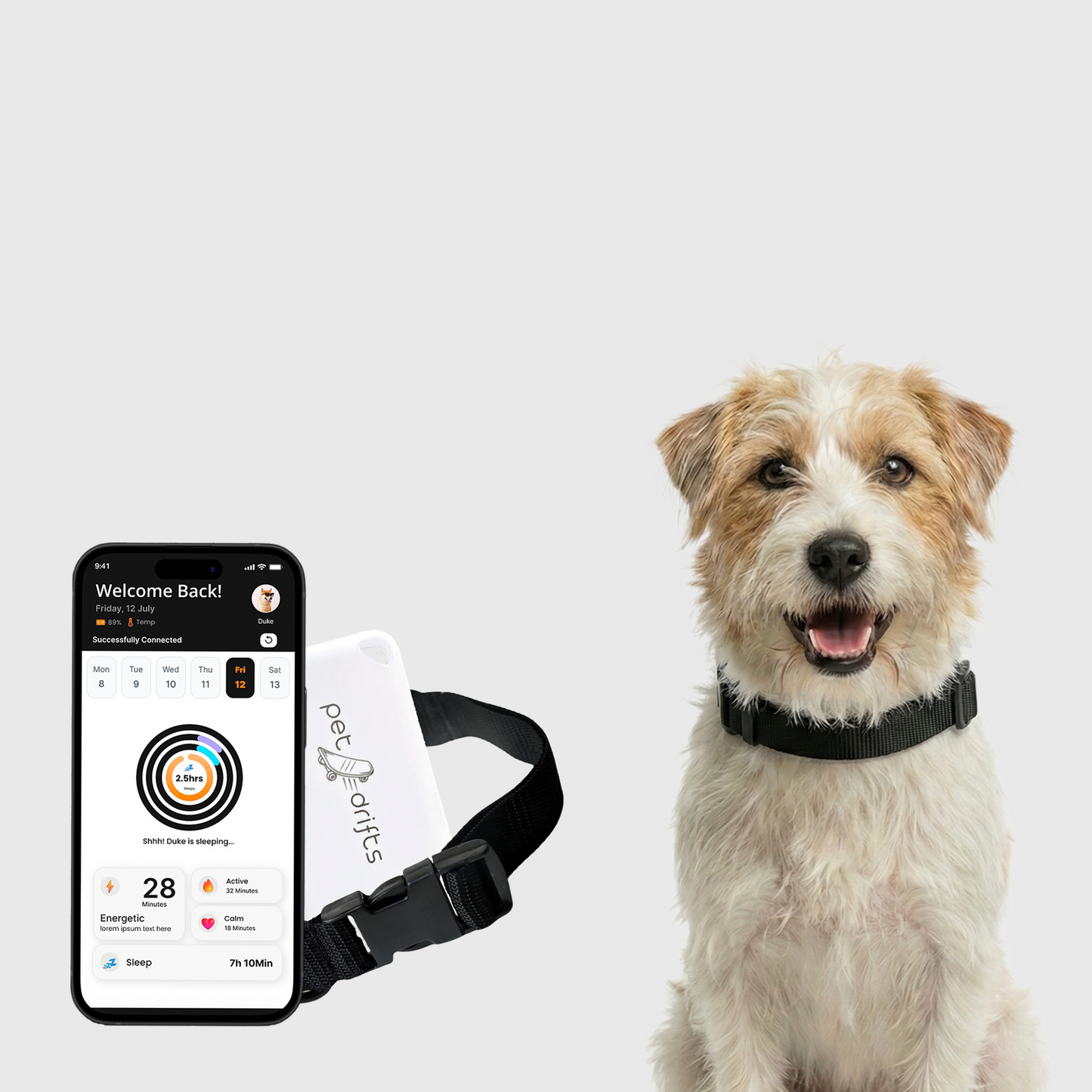 PetDrifts Lite - Smart Dog Collar With Activity and Sleep Tracking