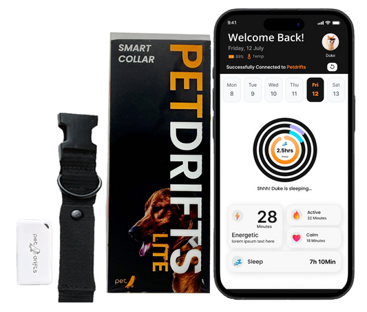 PetDrifts Lite - Smart Dog Collar With Activity and Sleep Tracking